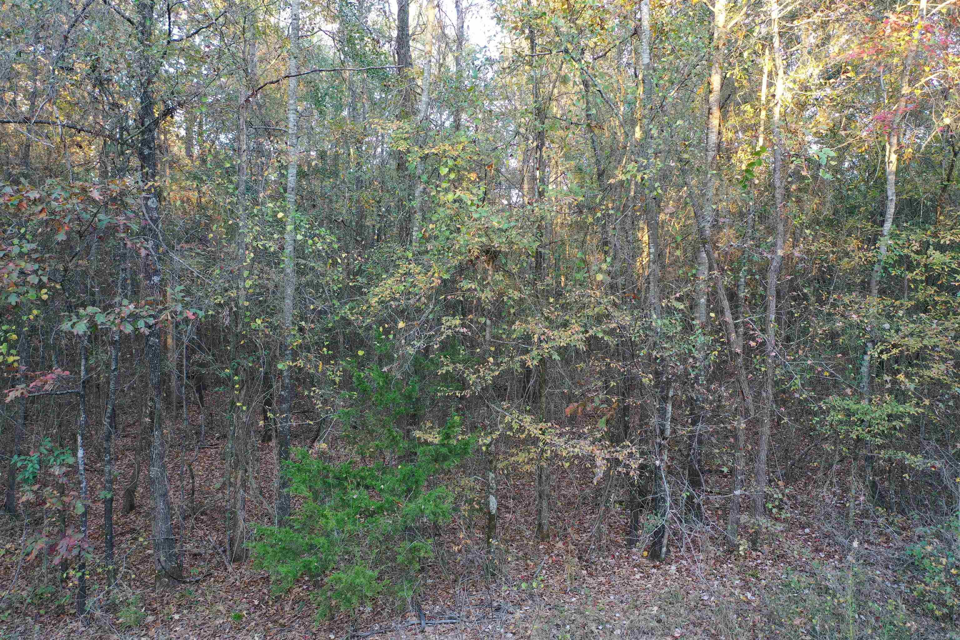 0 Co Rd 2117  Douglassville, TX