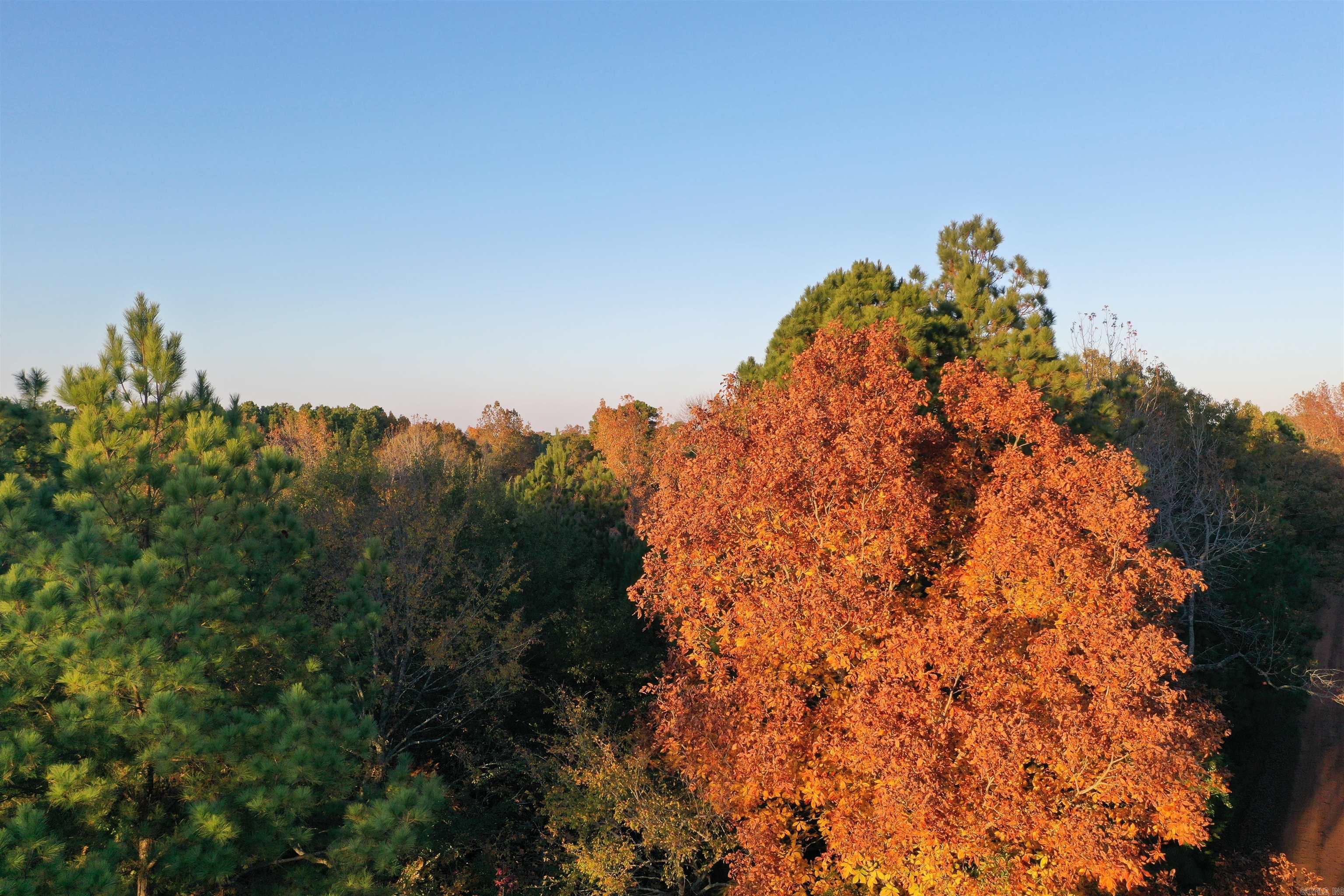 0 Co Rd 2117  Douglassville, TX