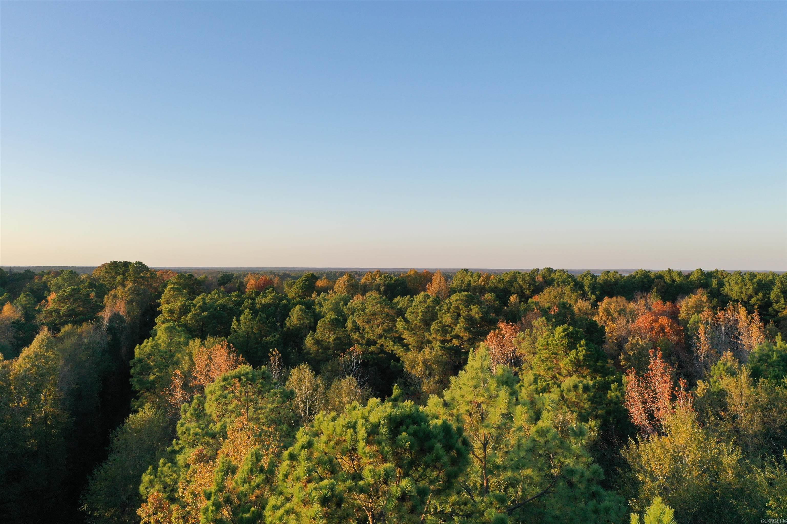 0 Co Rd 2117  Douglassville, TX