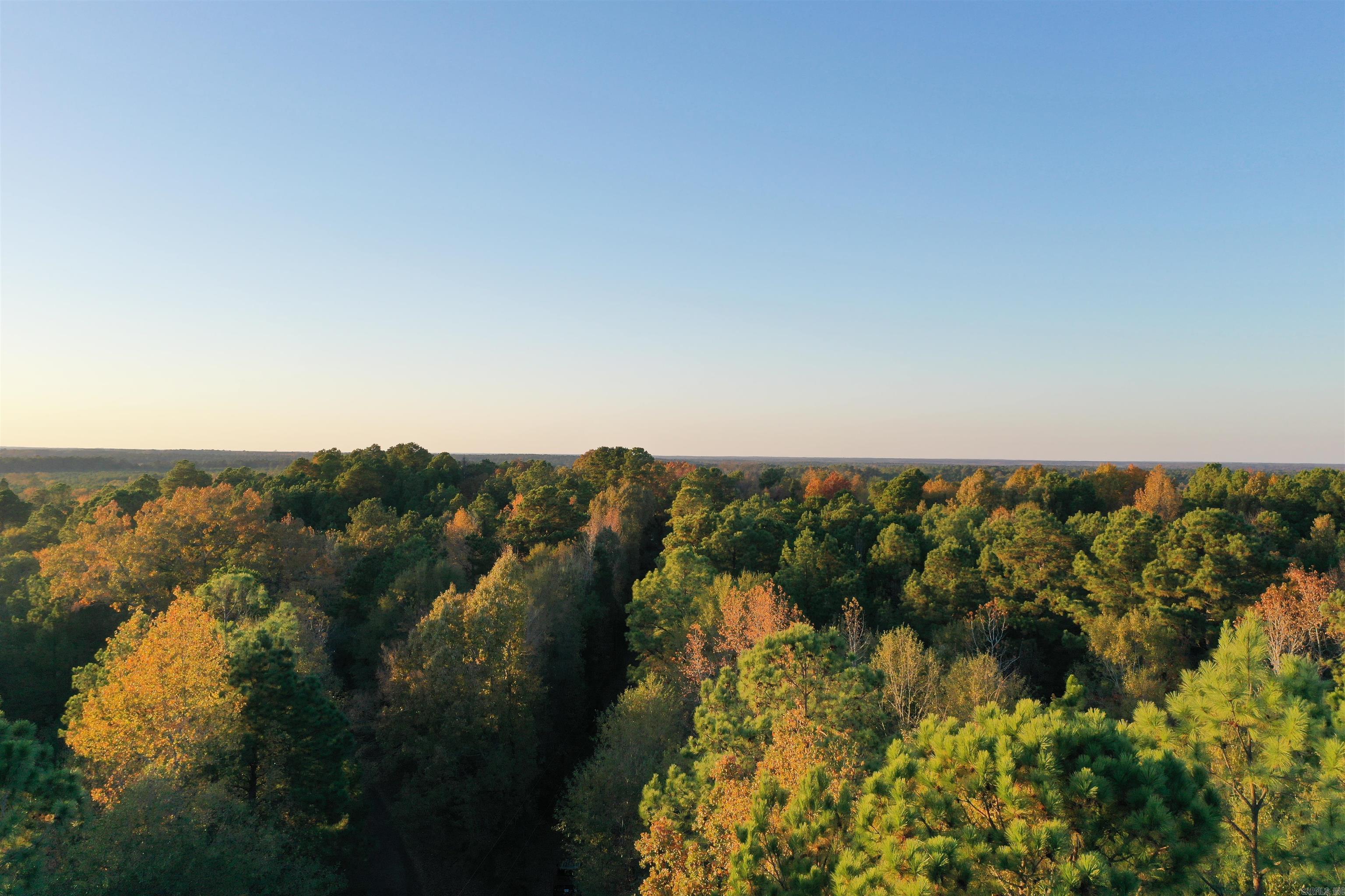 0 Co Rd 2117  Douglassville, TX