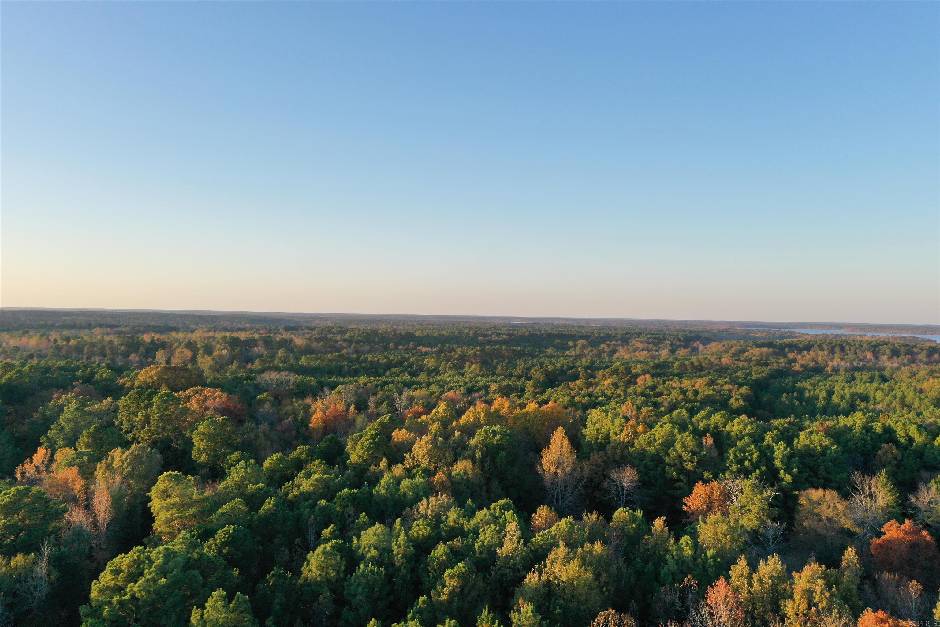 0 Co Rd 2117  Douglassville, TX