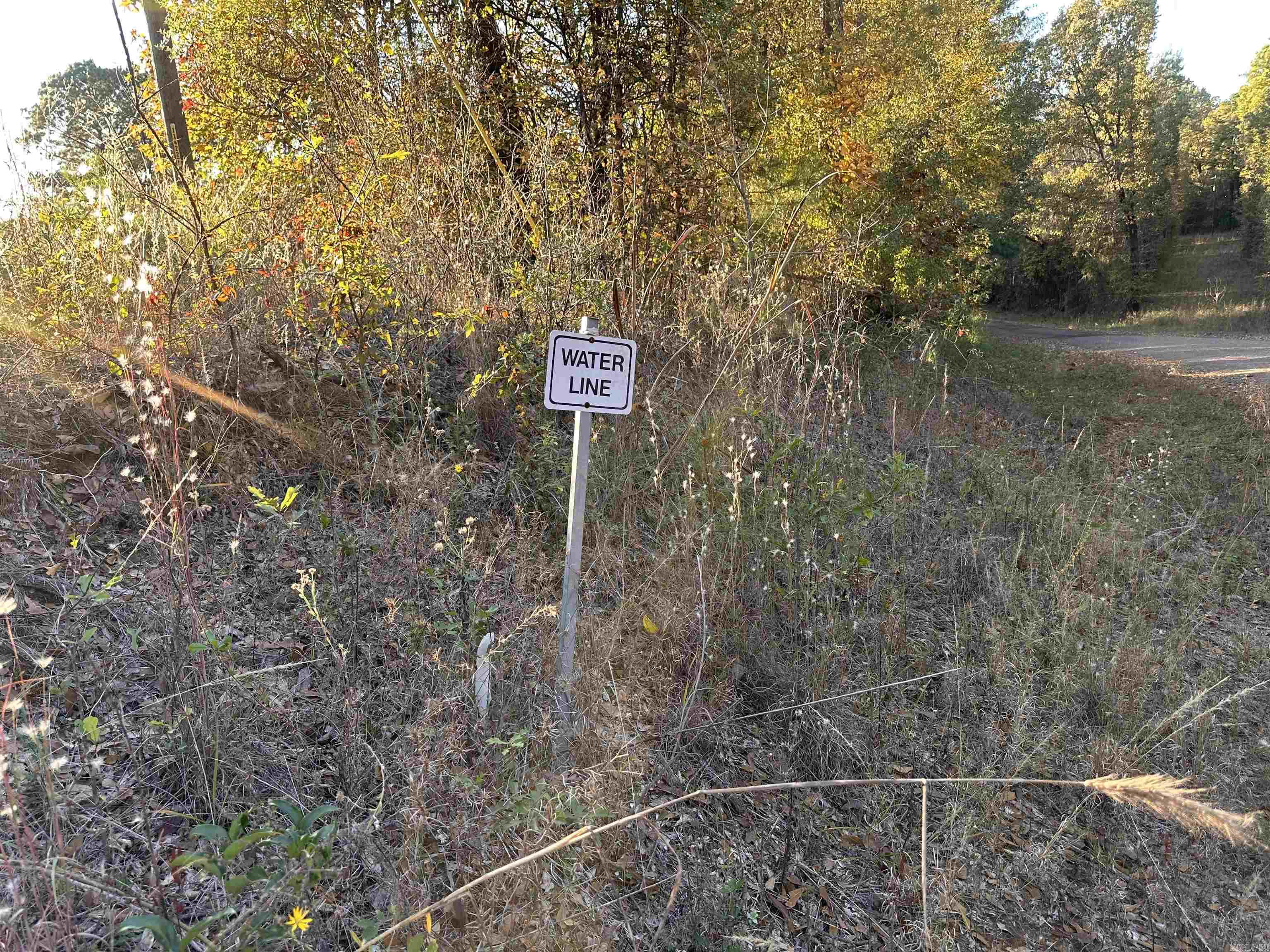 0 Co Rd 2117  Douglassville, TX