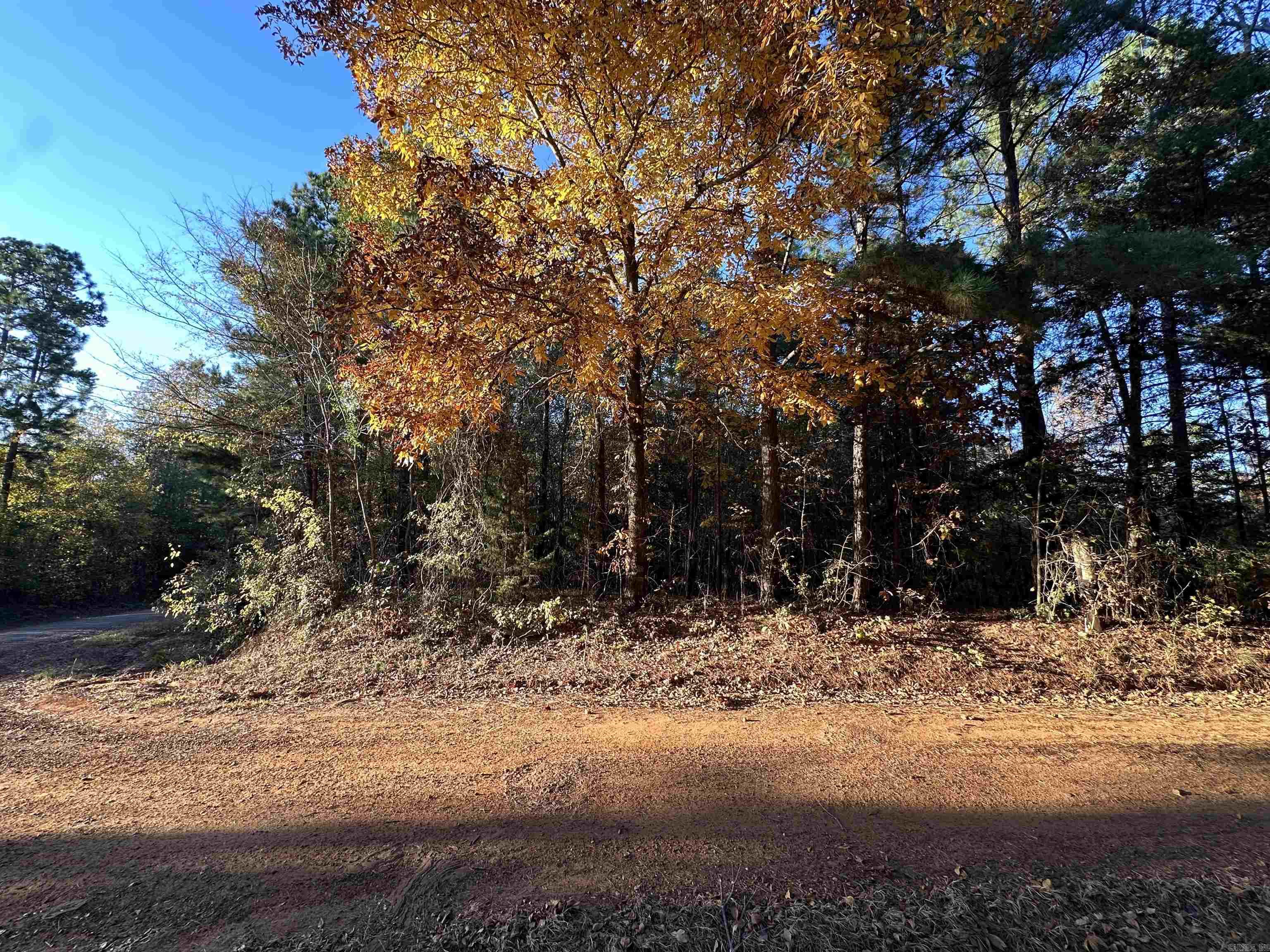 0 Co Rd 2117  Douglassville, TX