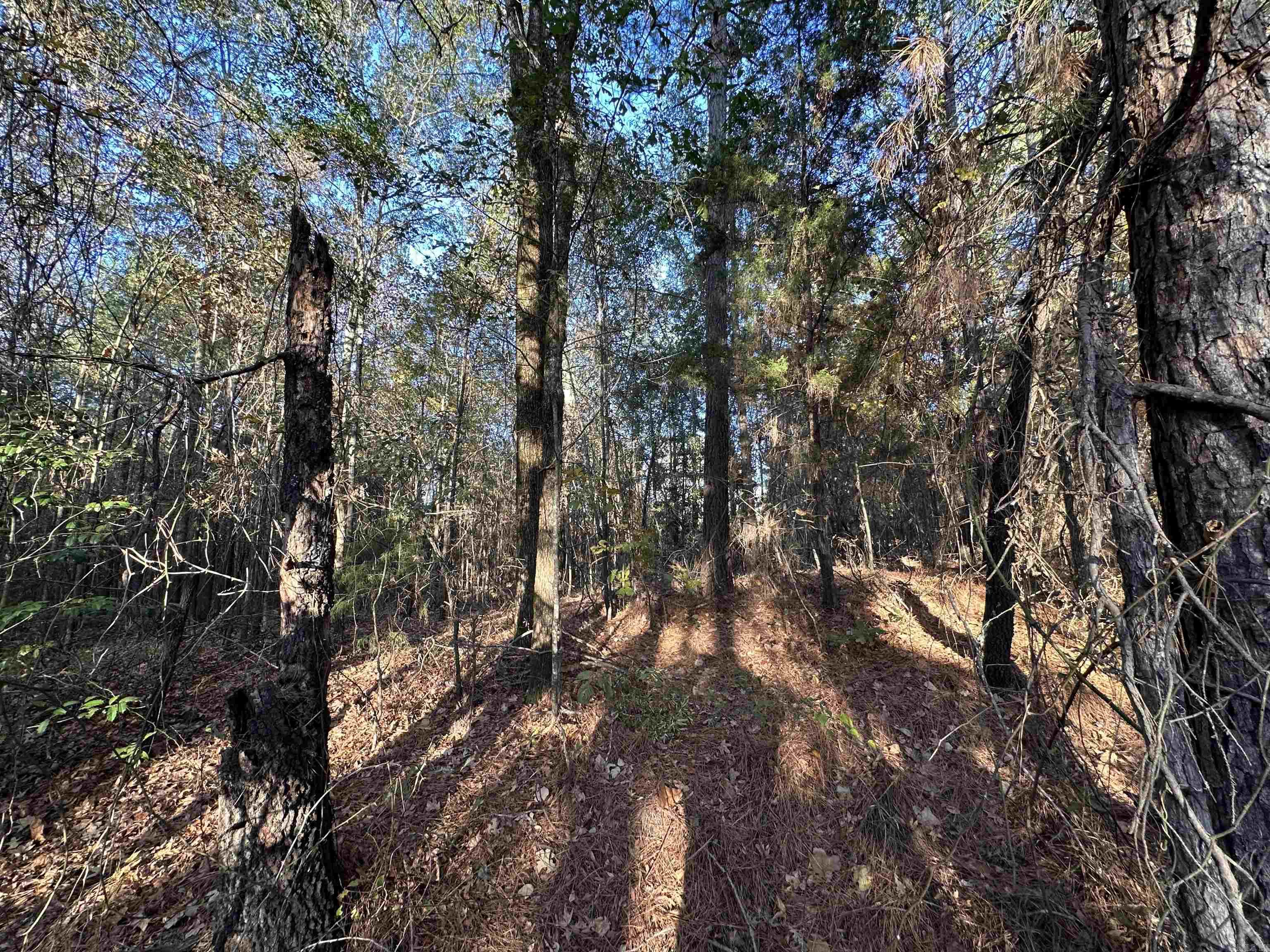 0 Co Rd 2117  Douglassville, TX