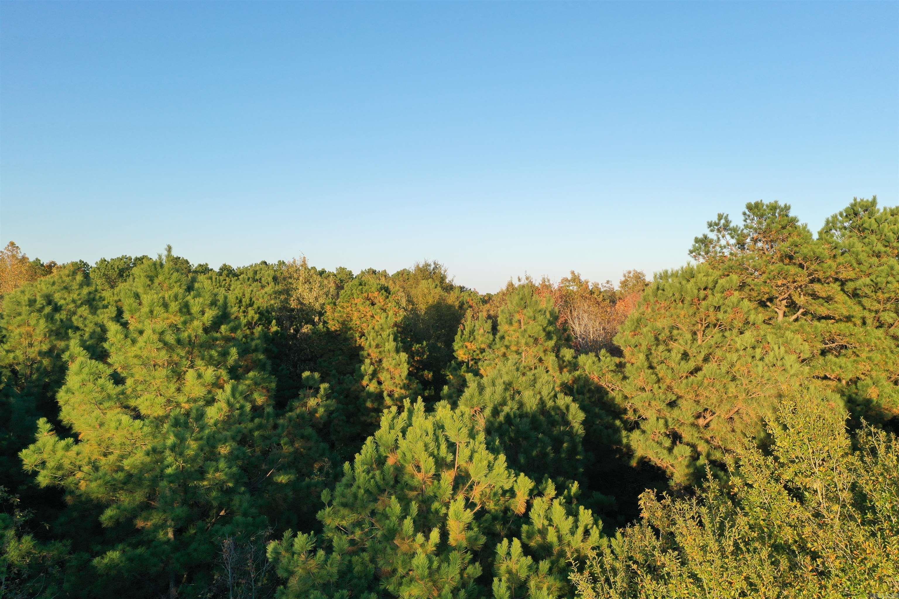 0 Co Rd 2117  Douglassville, TX