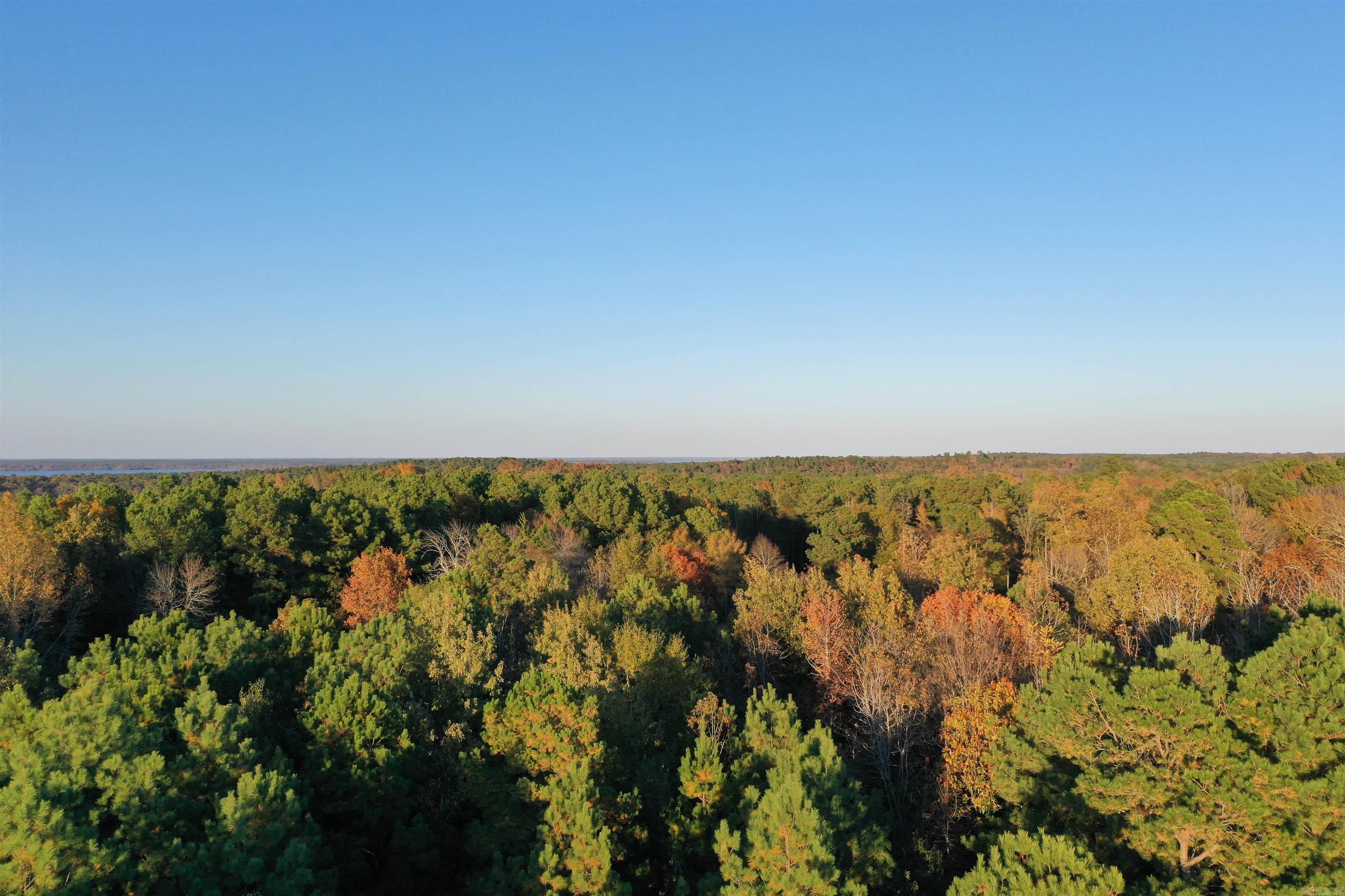 0 Co Rd 2117  Douglassville, TX