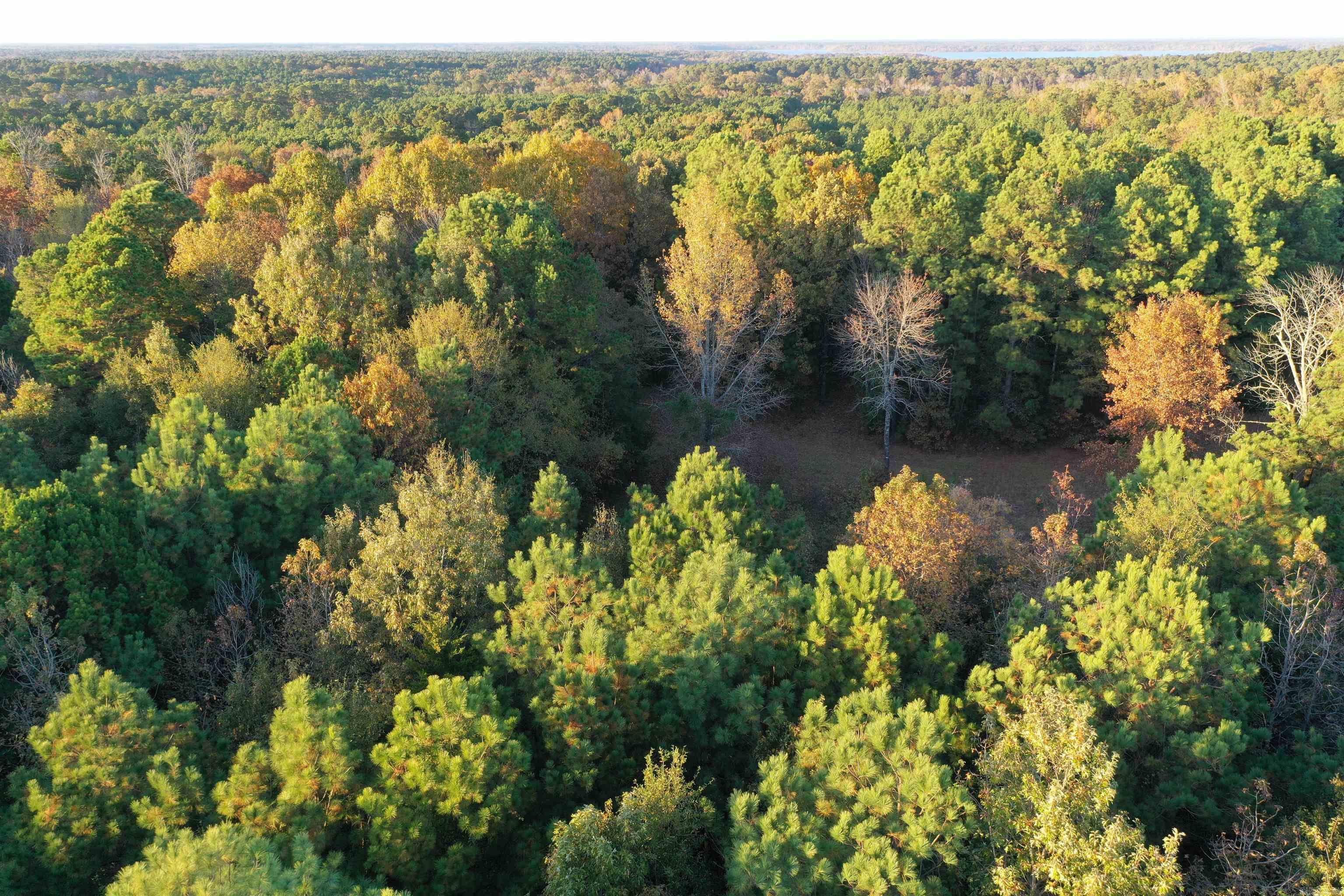 0 Co Rd 2117  Douglassville, TX