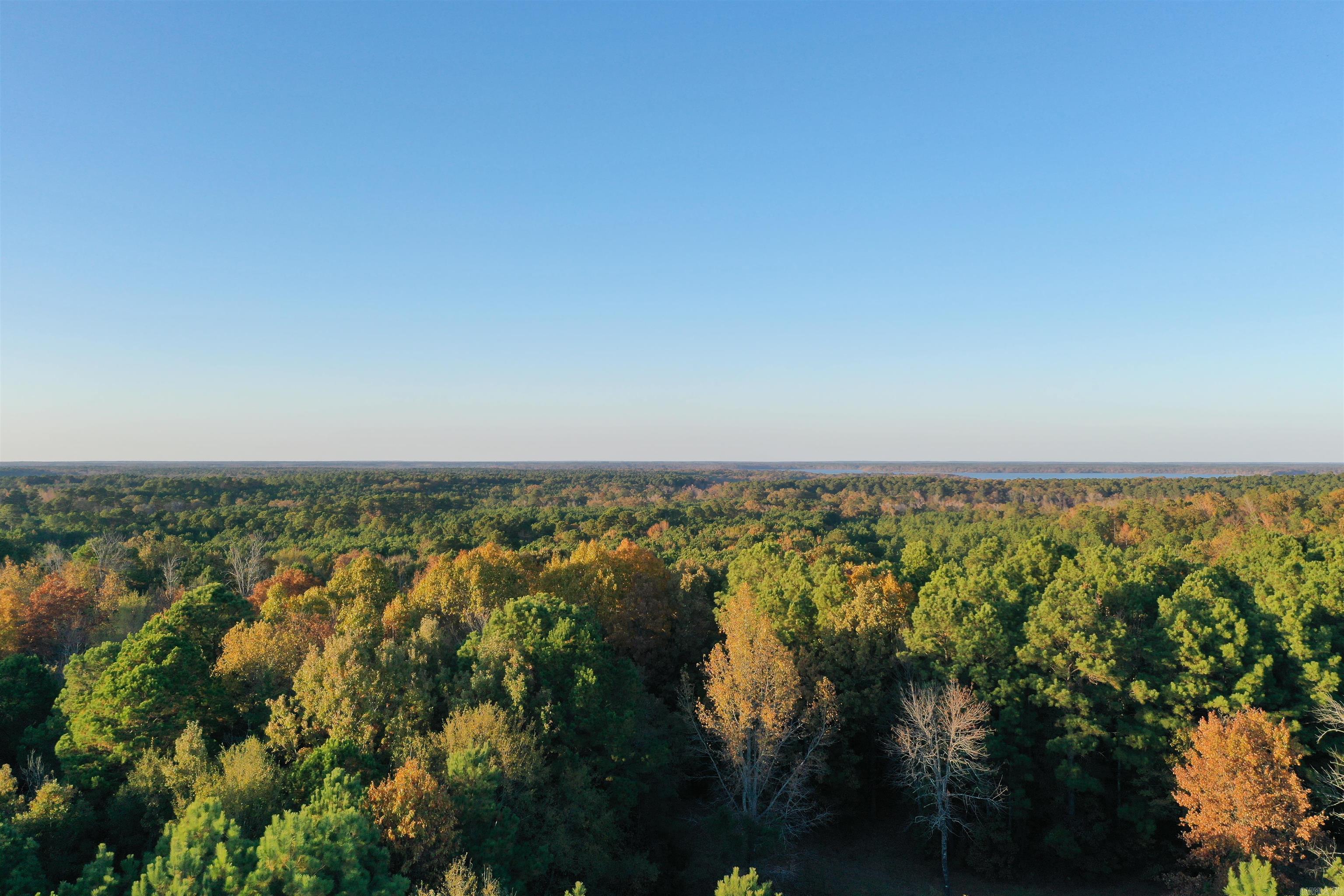 0 Co Rd 2117  Douglassville, TX