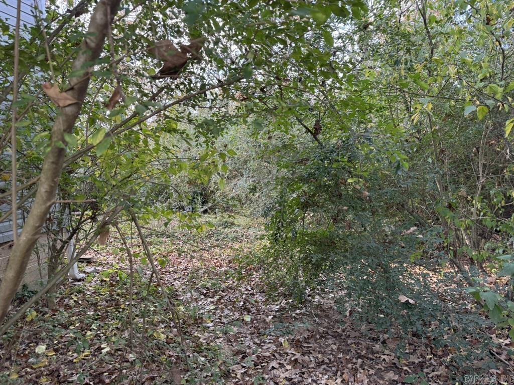 253 Briarpatch Lane  Sherwood, AR