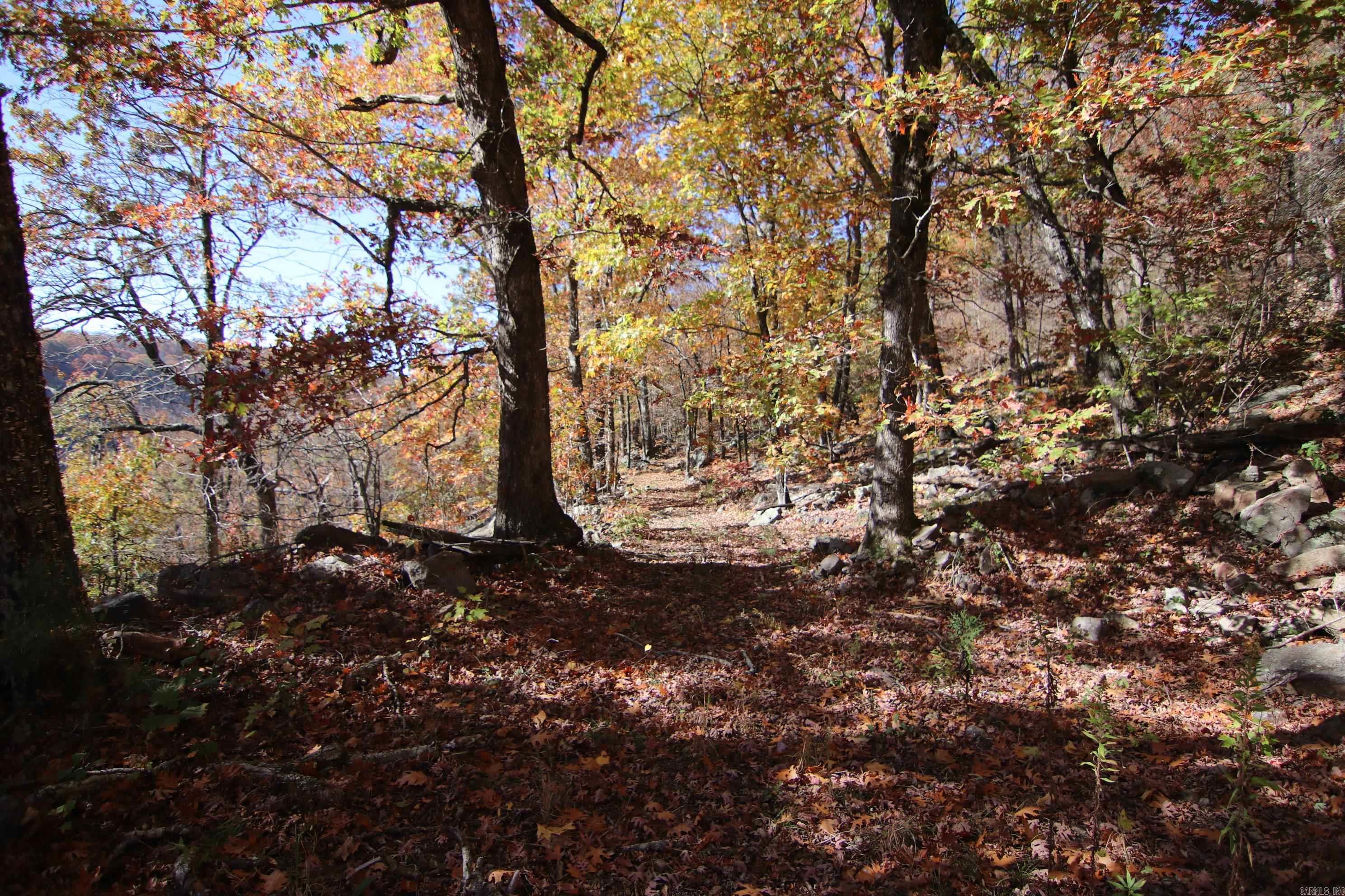 881 Aud Rd  Witt Springs, AR