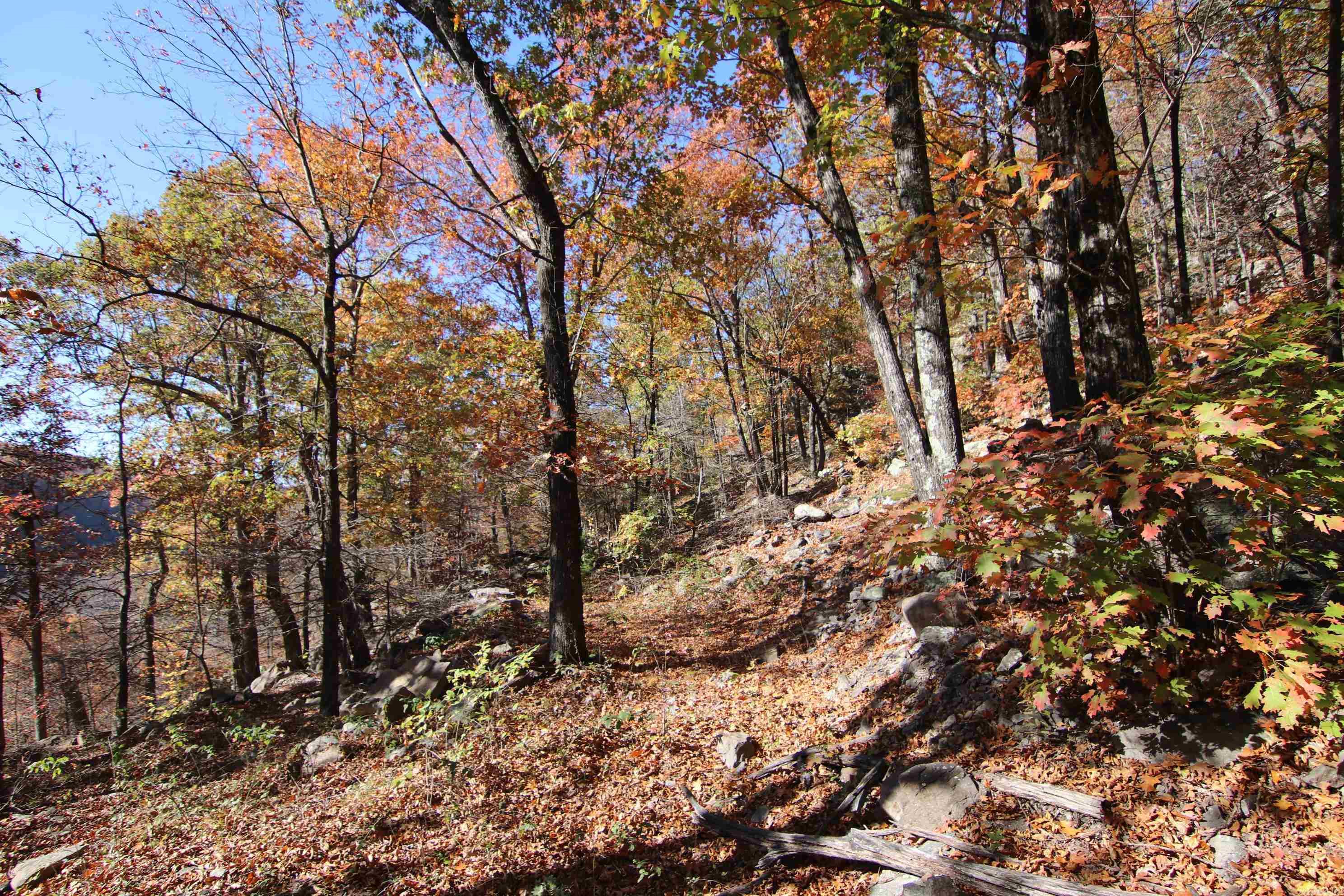 881 Aud Rd  Witt Springs, AR