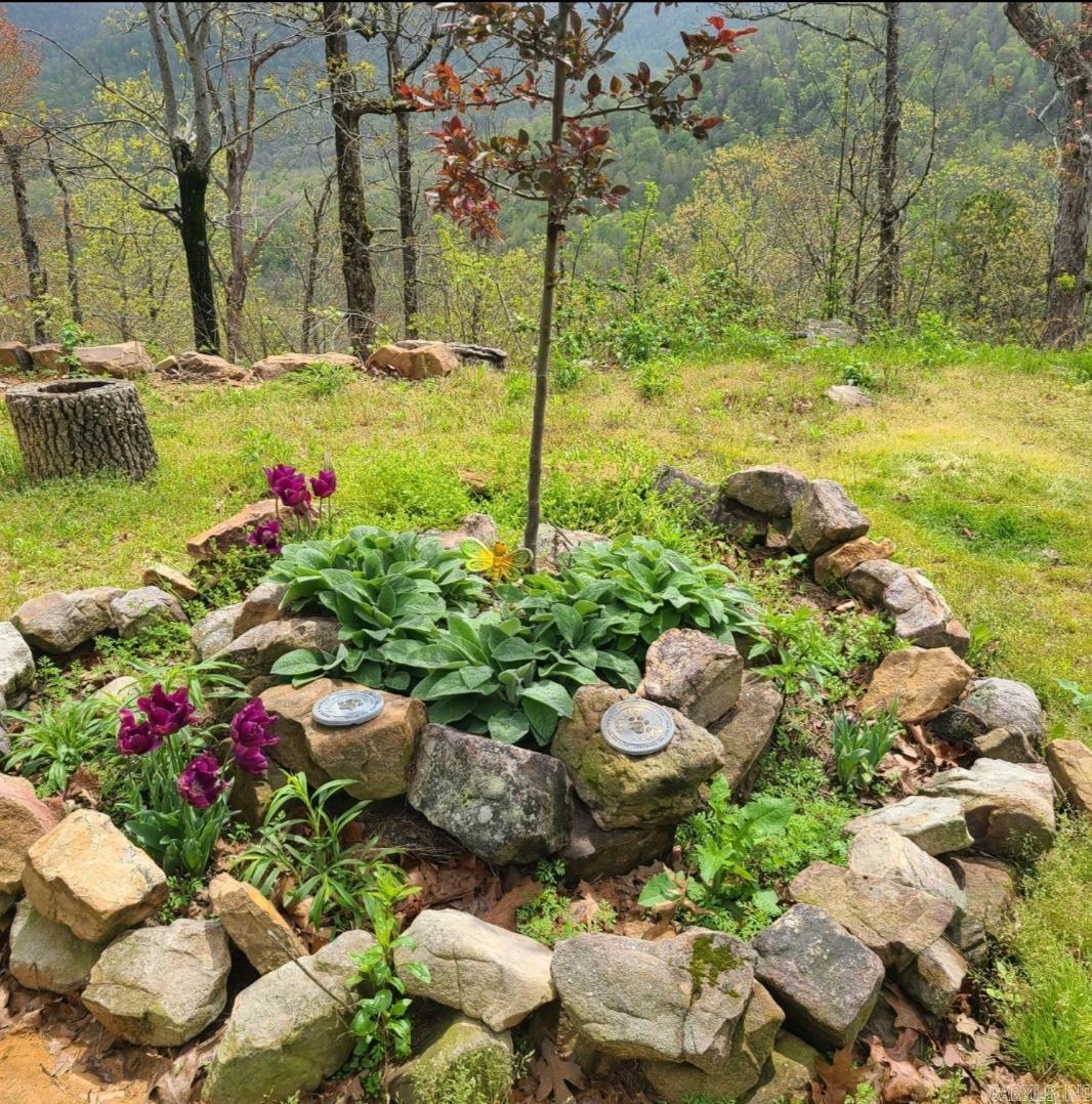 881 Aud Rd  Witt Springs, AR