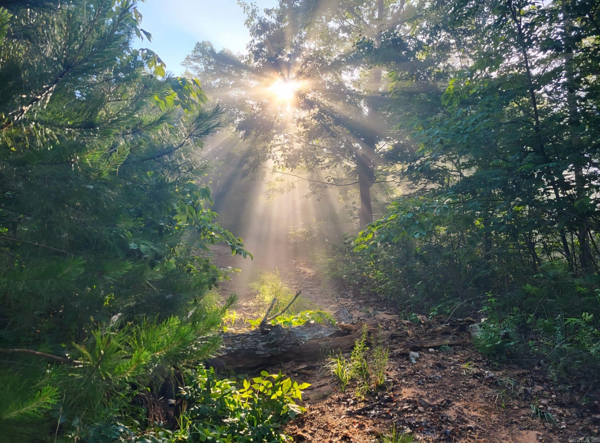 881 Aud Rd  Witt Springs, AR