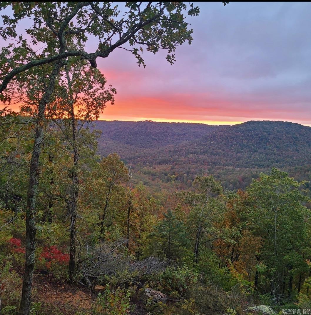 881 Aud Rd  Witt Springs, AR