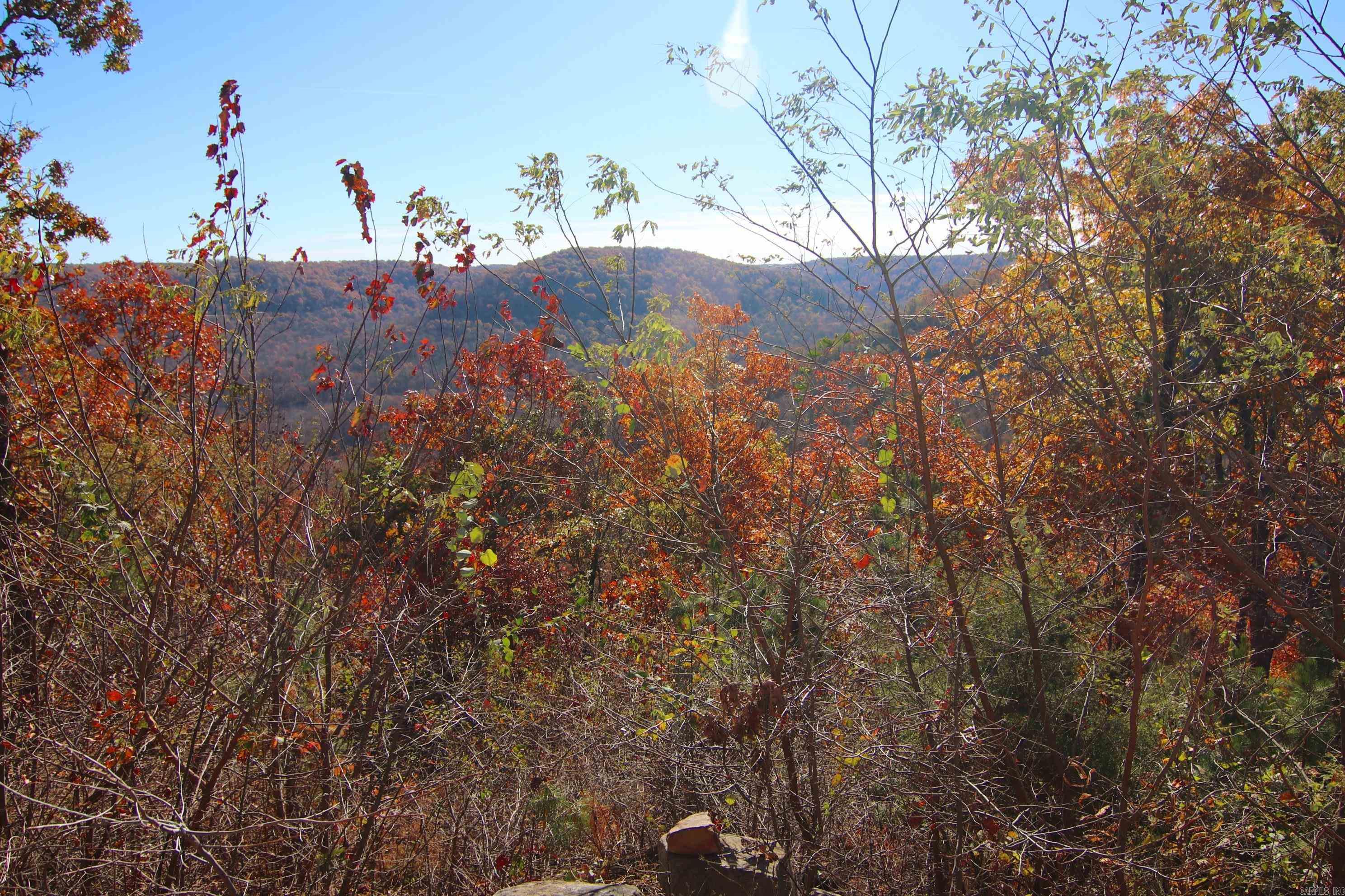 881 Aud Rd  Witt Springs, AR