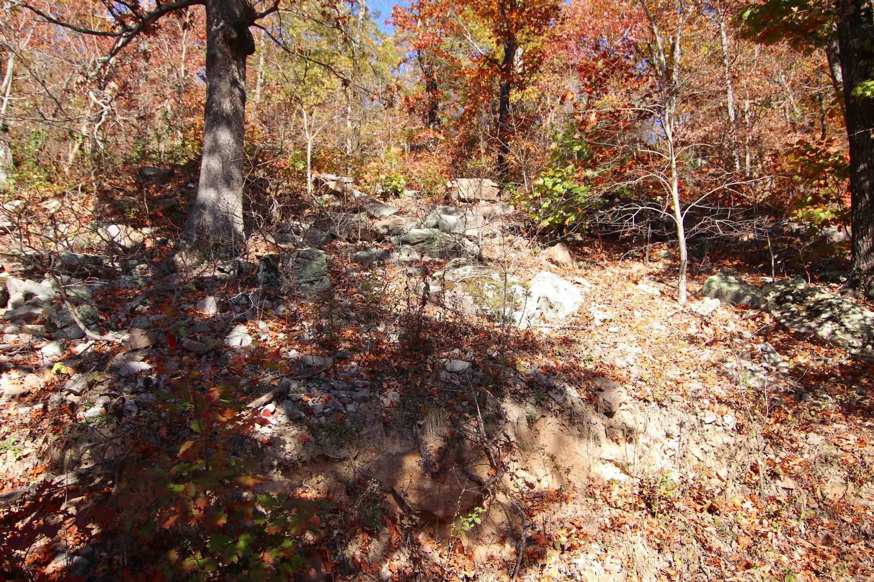 881 Aud Rd  Witt Springs, AR