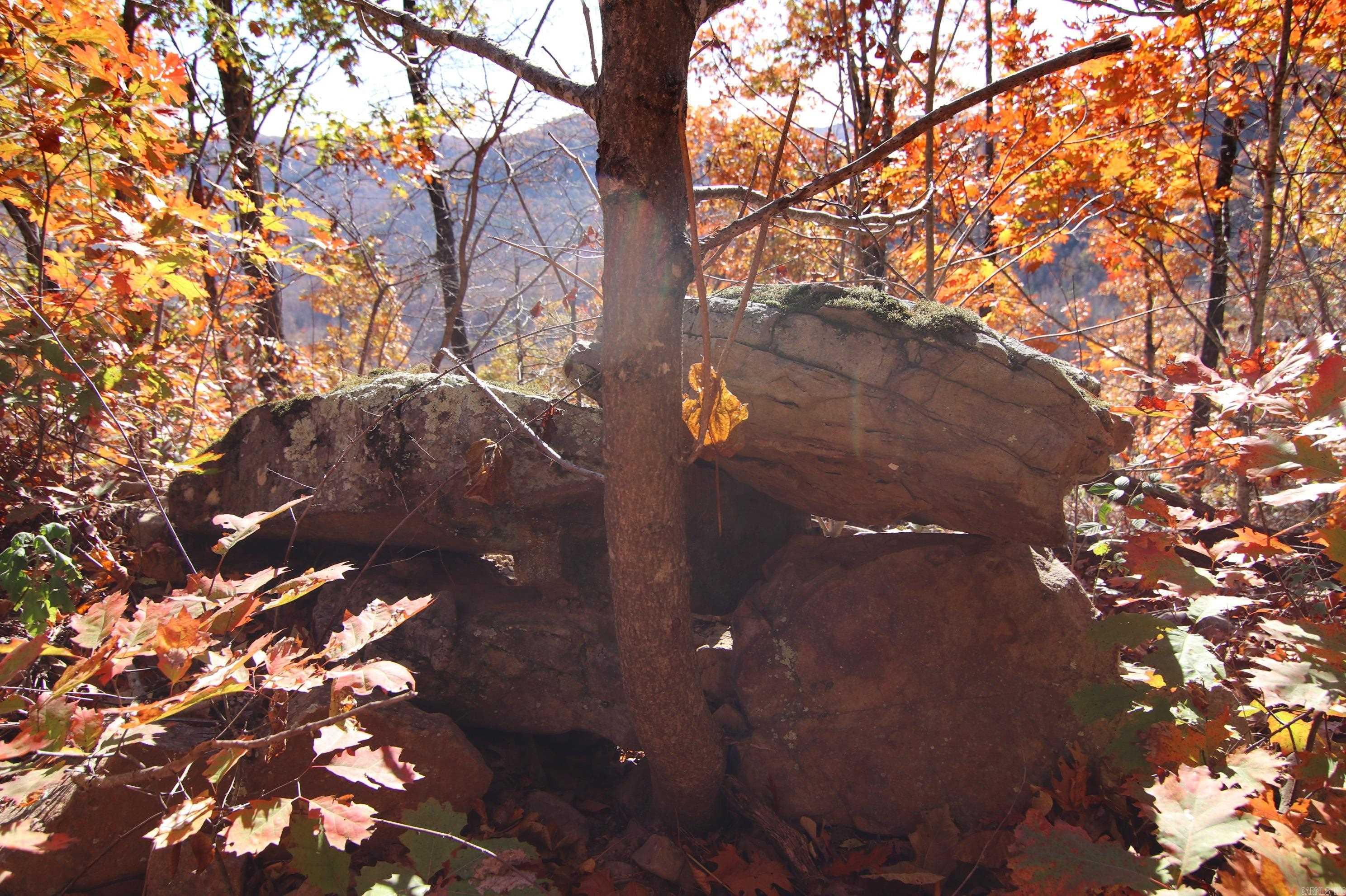 881 Aud Rd  Witt Springs, AR