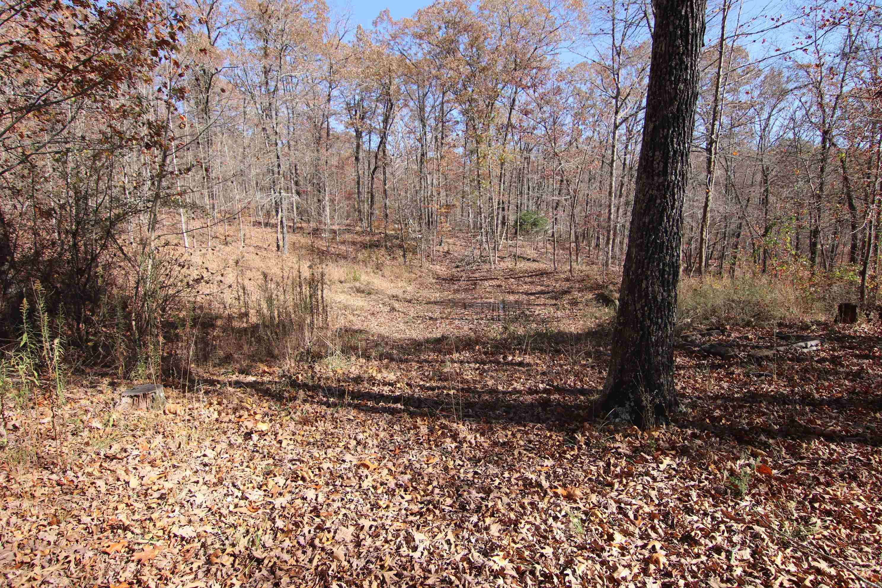 000   Witt Springs, AR