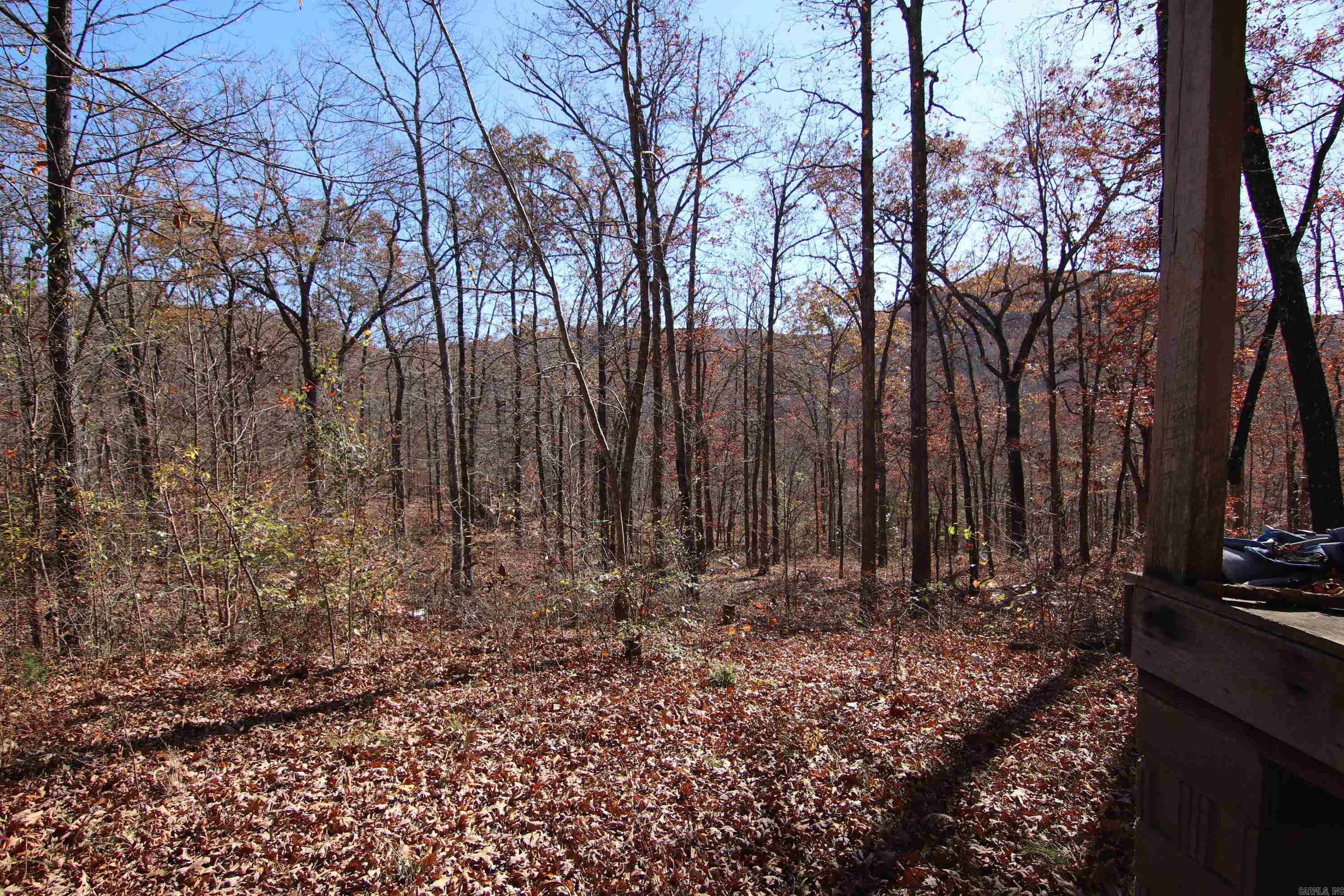 000   Witt Springs, AR