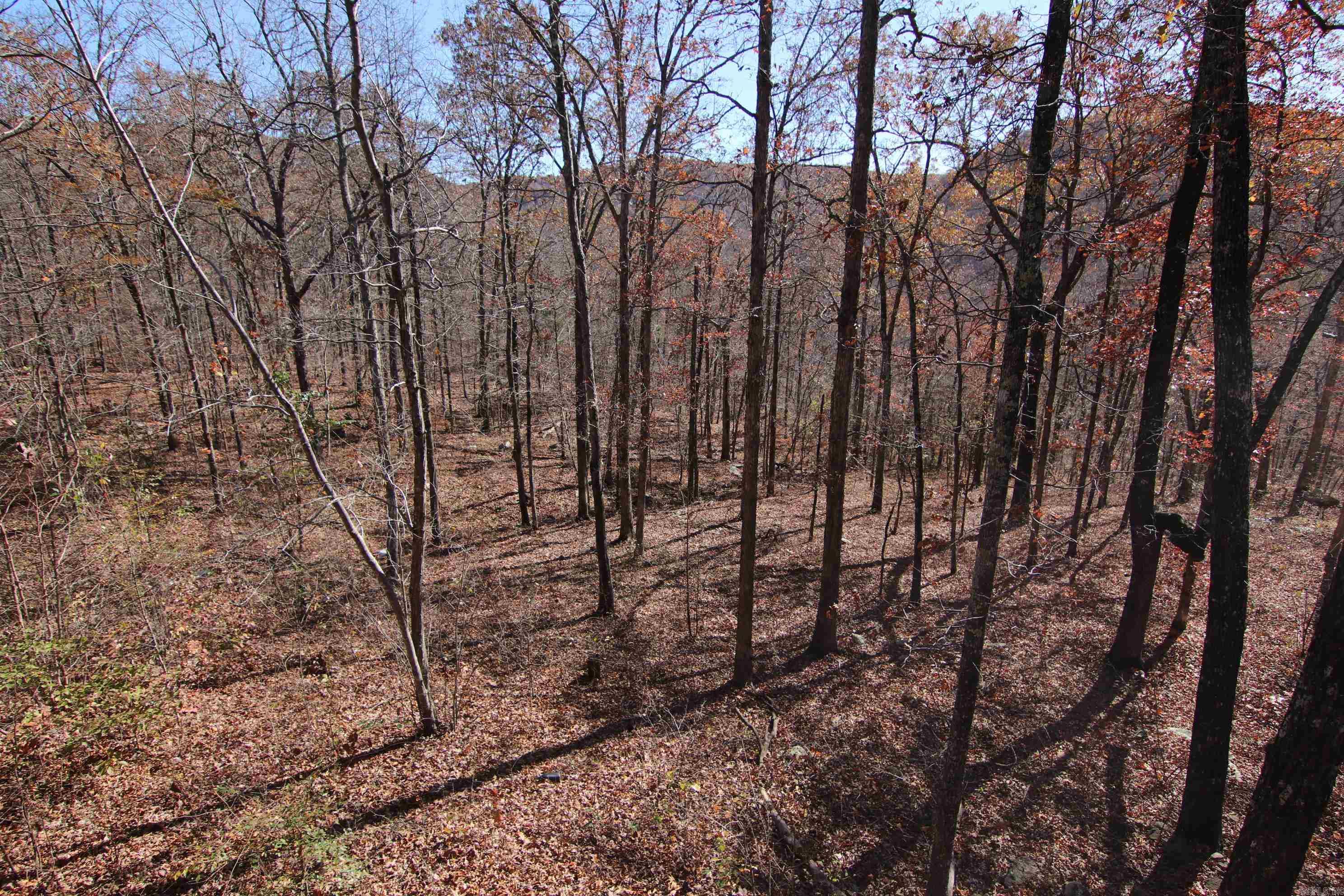 000   Witt Springs, AR