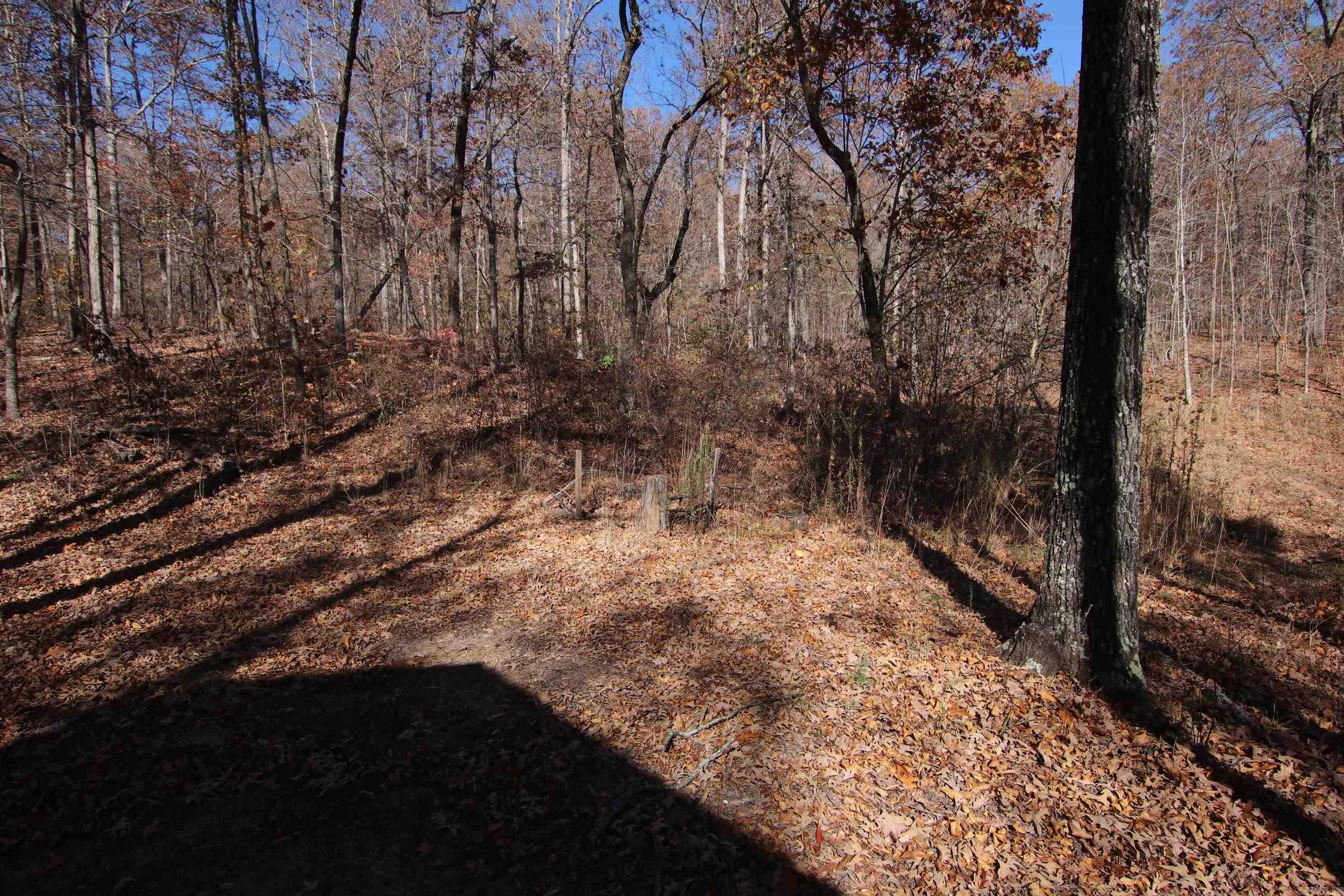 000   Witt Springs, AR