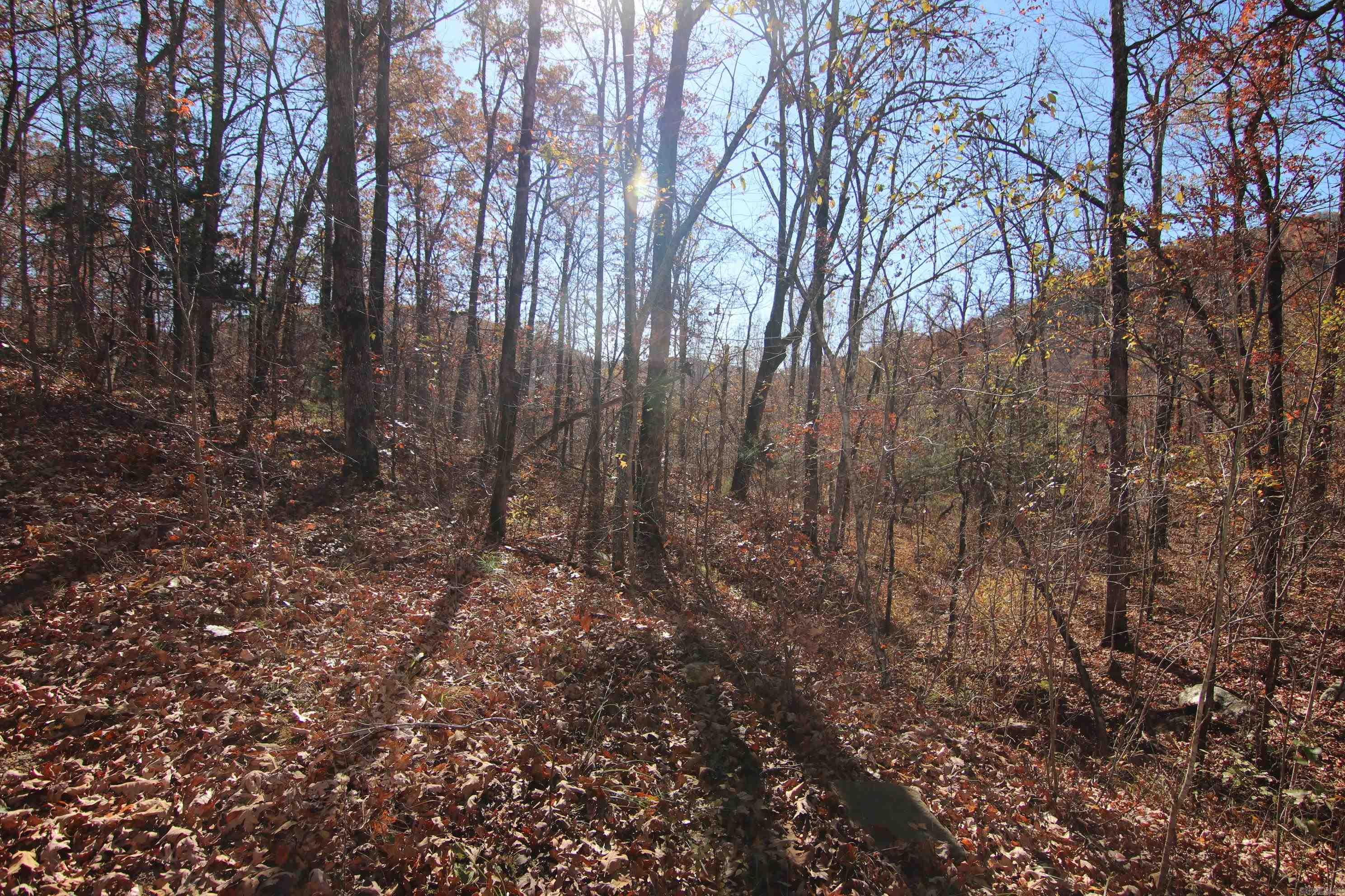 000   Witt Springs, AR