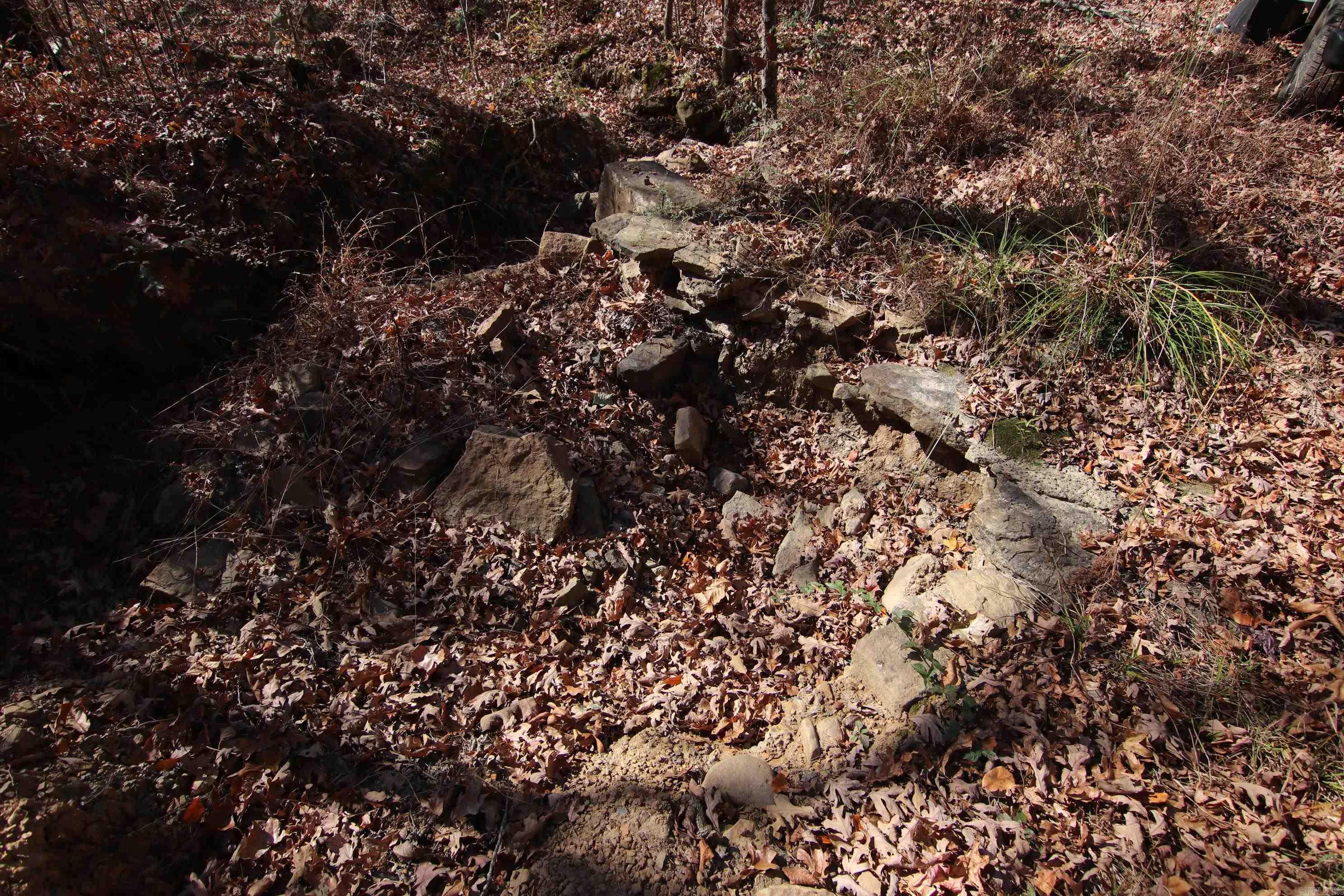 000   Witt Springs, AR