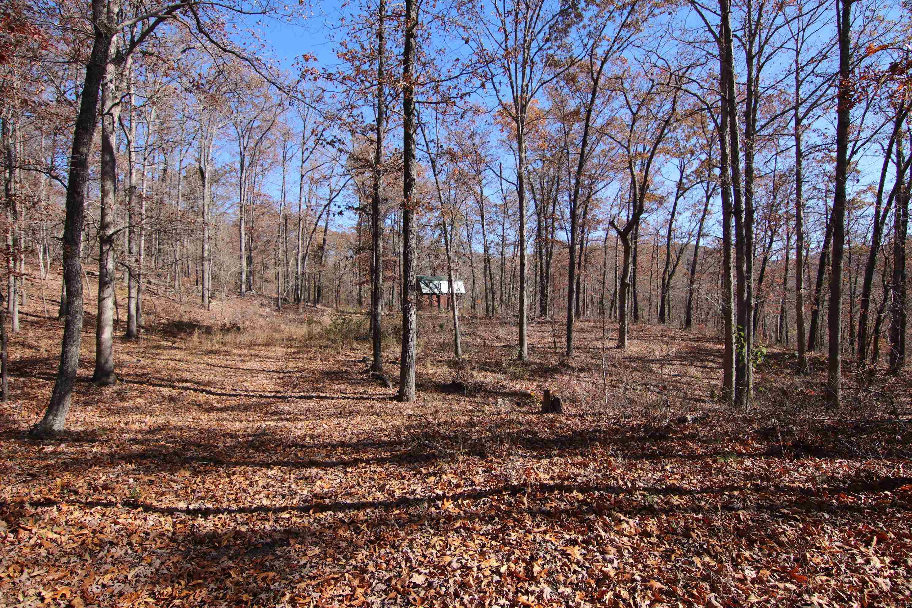 000   Witt Springs, AR