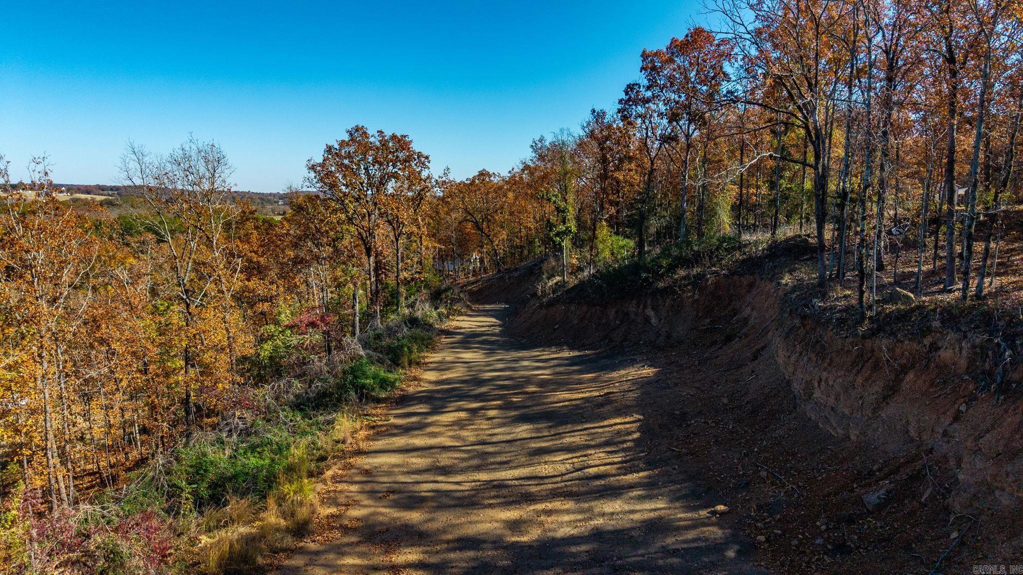 0 Burkett Flat Road  Greenbrier, AR