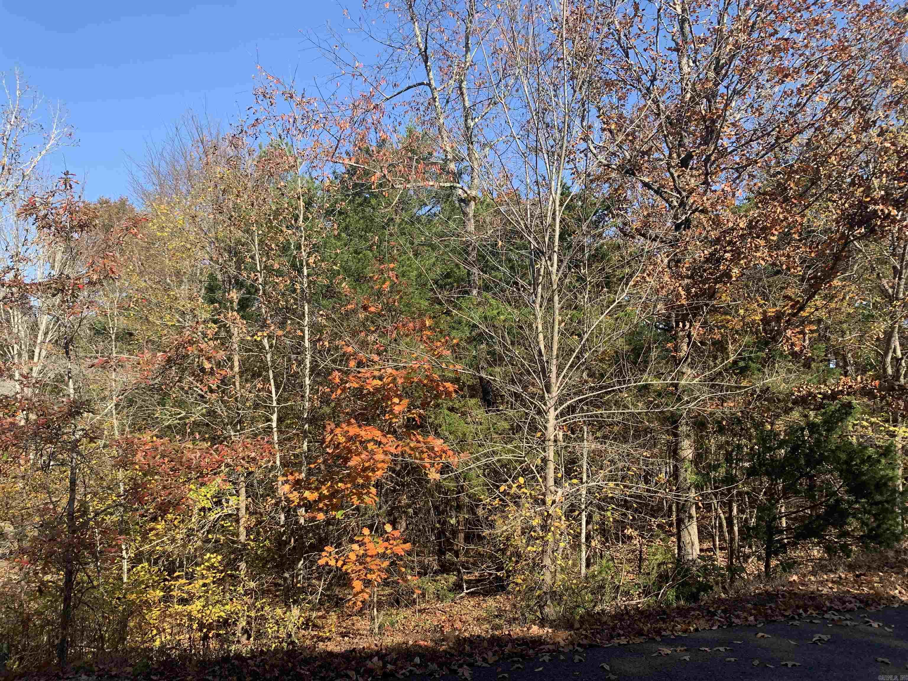 34 PILLAR  Hot Springs Village, AR