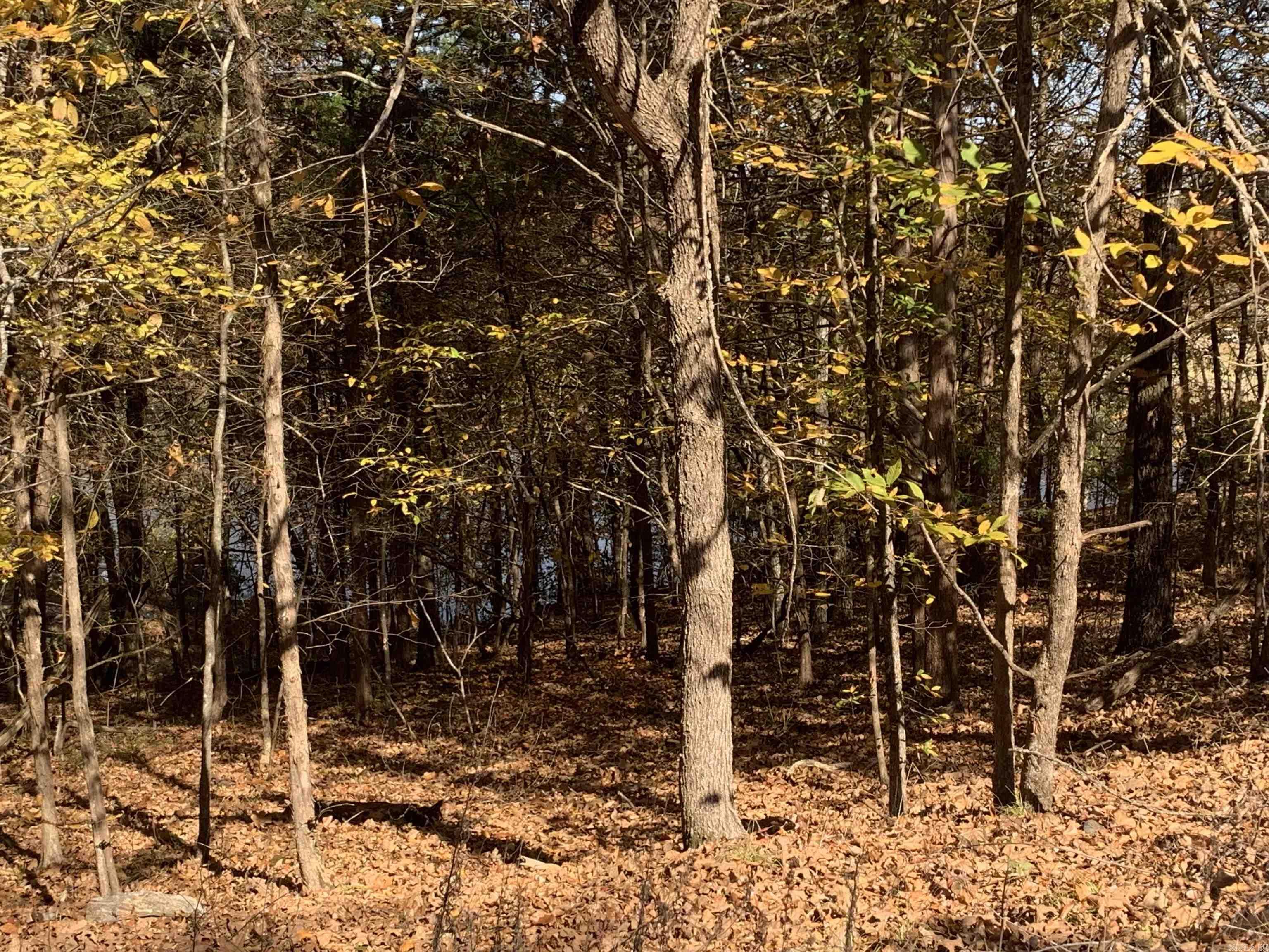 34 PILLAR  Hot Springs Village, AR