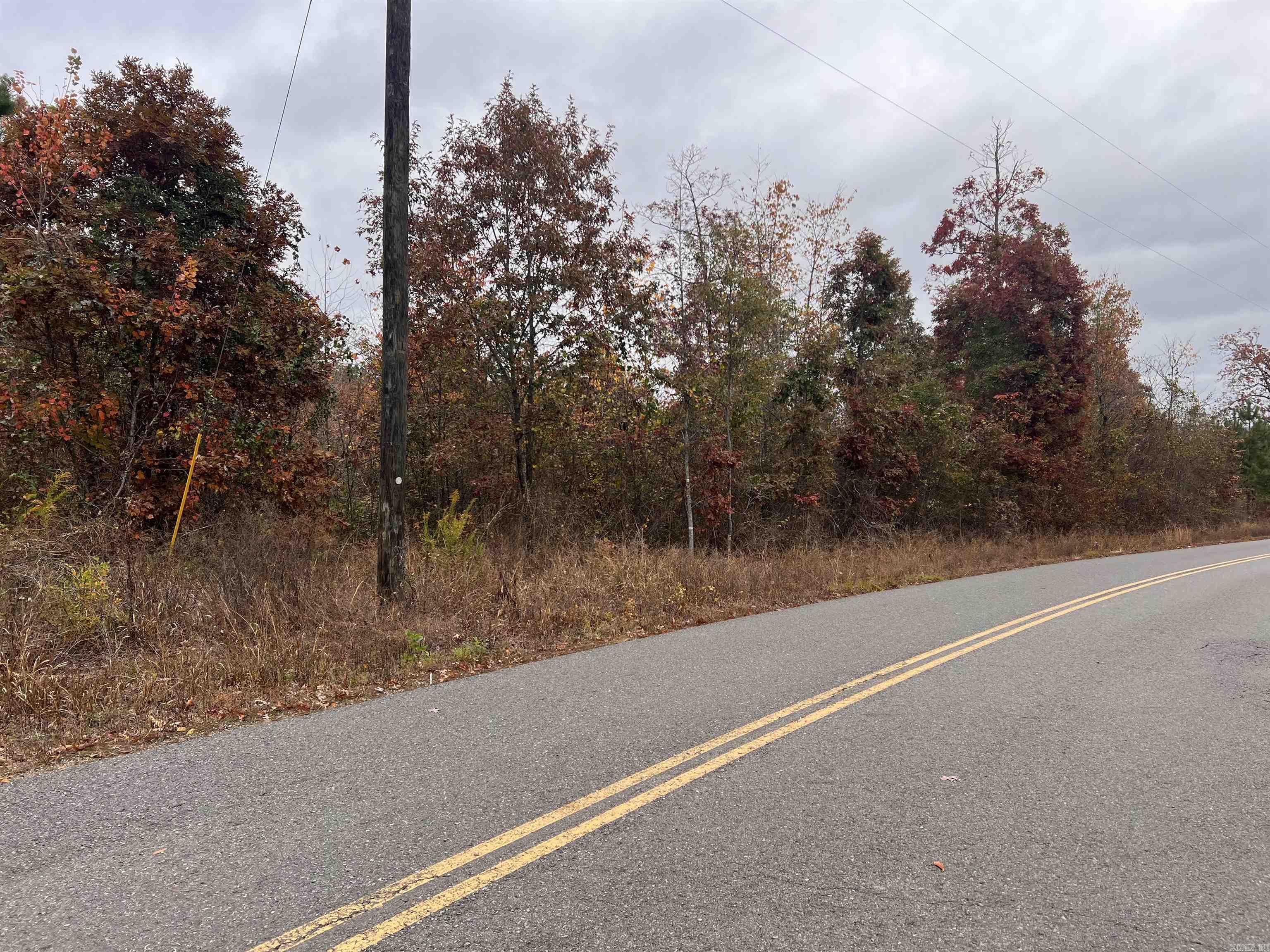 TBD Peach  Bismarck, AR