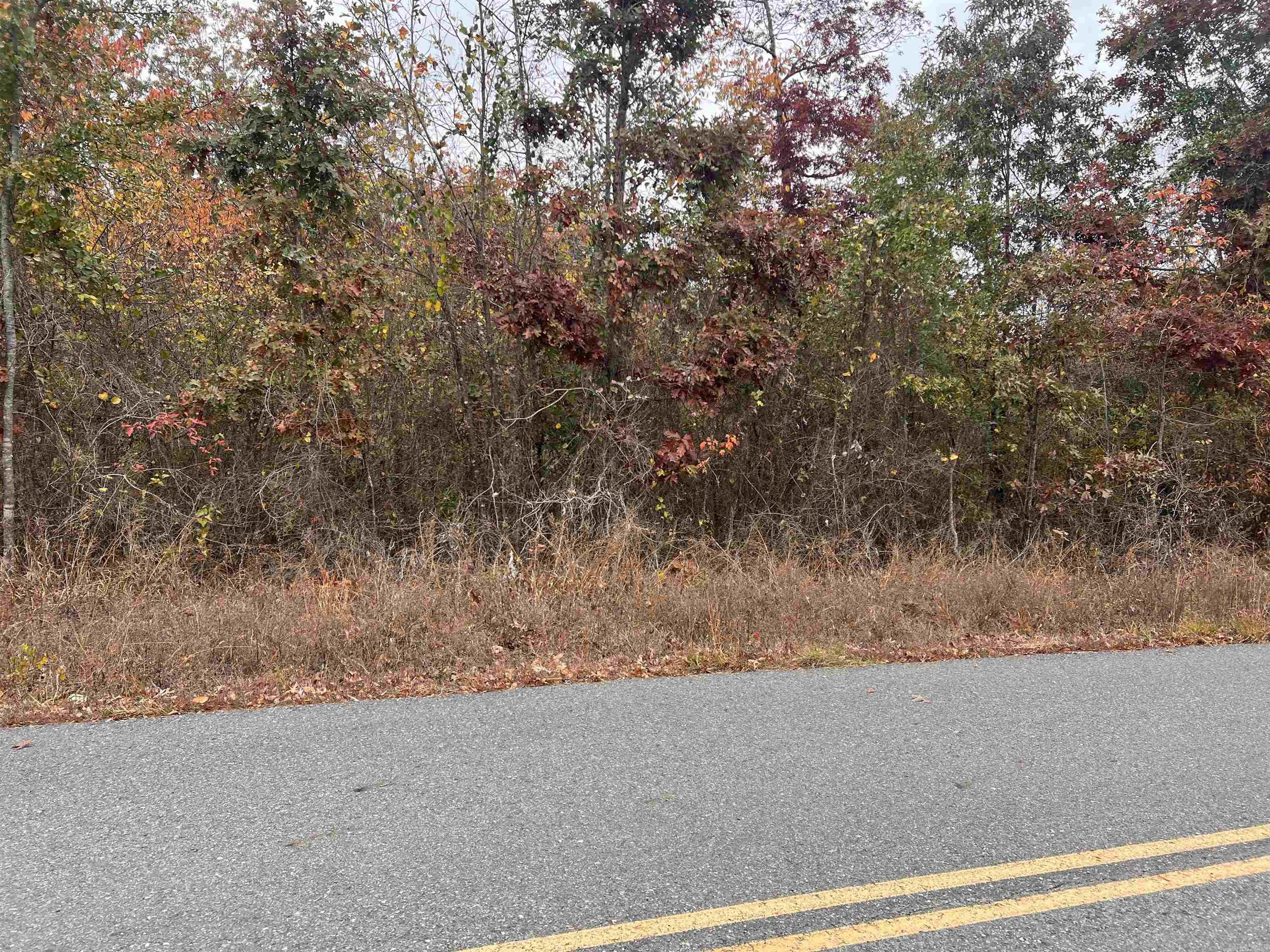 TBD Peach  Bismarck, AR