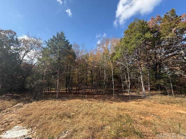 34 Summer Sky Drive  Greenbrier, AR