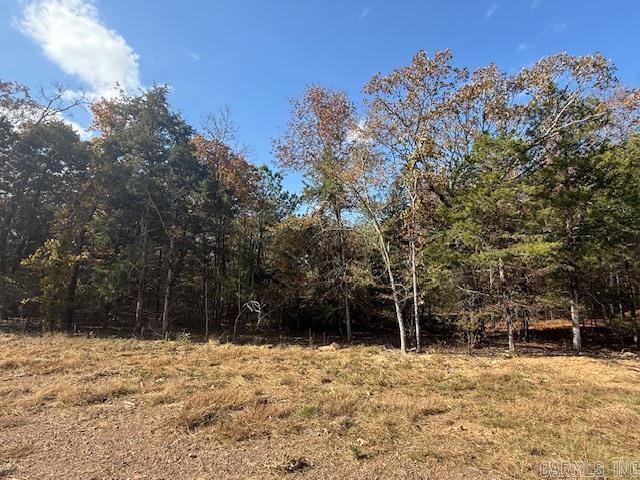 38 Summer Sky Drive  Greenbrier, AR