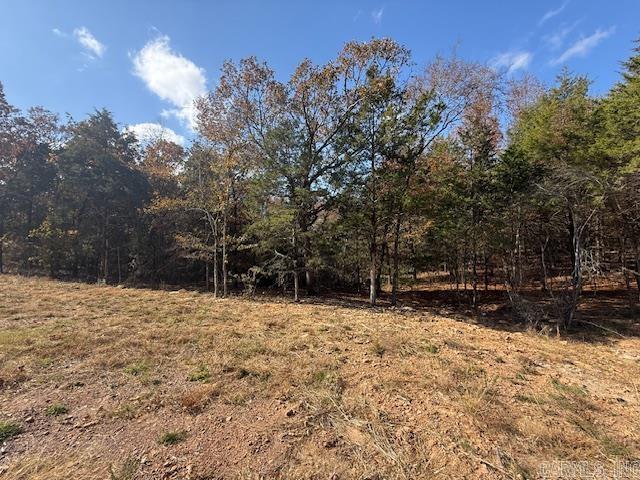 38 Summer Sky Drive  Greenbrier, AR