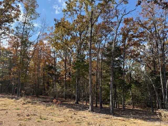 42 Summer Sky Drive  Greenbrier, AR