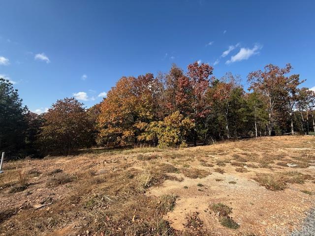 46 Summer Sky Drive  Greenbrier, AR