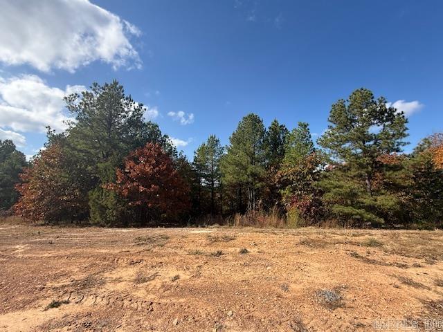 50 Summer Sky Drive  Greenbrier, AR