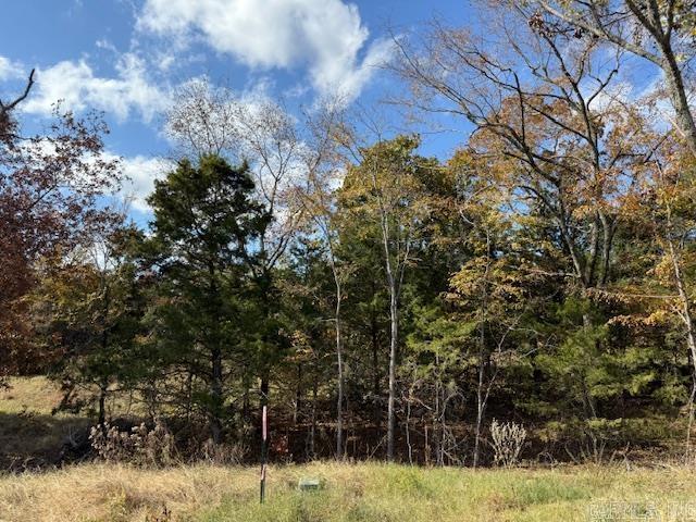 86 Summer Sky Drive  Greenbrier, AR