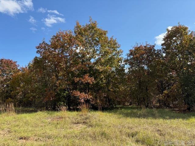 81 Summer Sky Drive  Greenbrier, AR