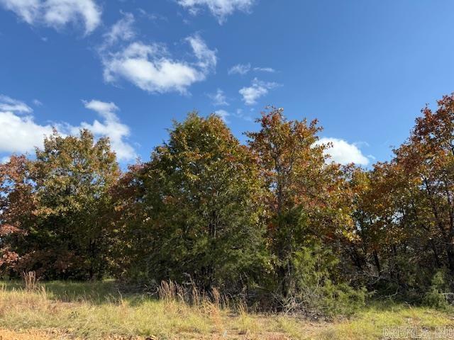 81 Summer Sky Drive  Greenbrier, AR