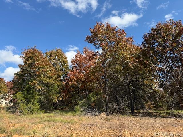 81 Summer Sky Drive  Greenbrier, AR