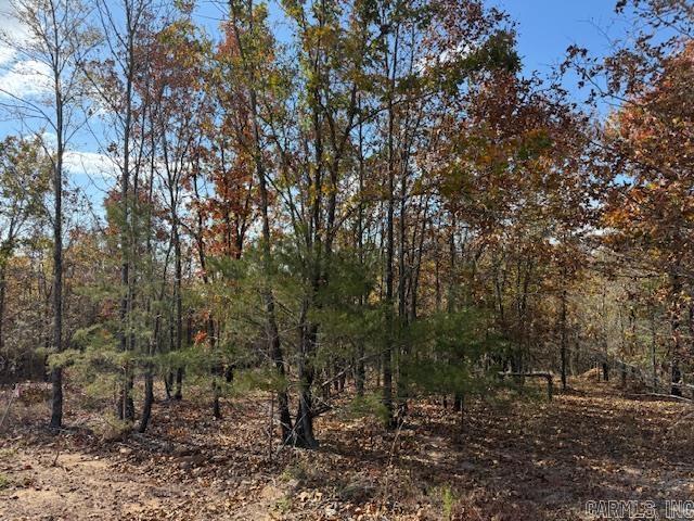 10 Summer Tyme Drive  Greenbrier, AR