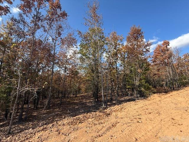 12 Summer Tyme Drive  Greenbrier, AR