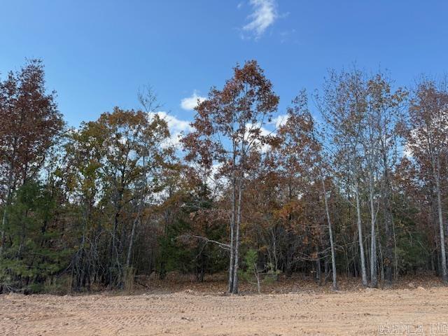 12 Summer Tyme Drive  Greenbrier, AR