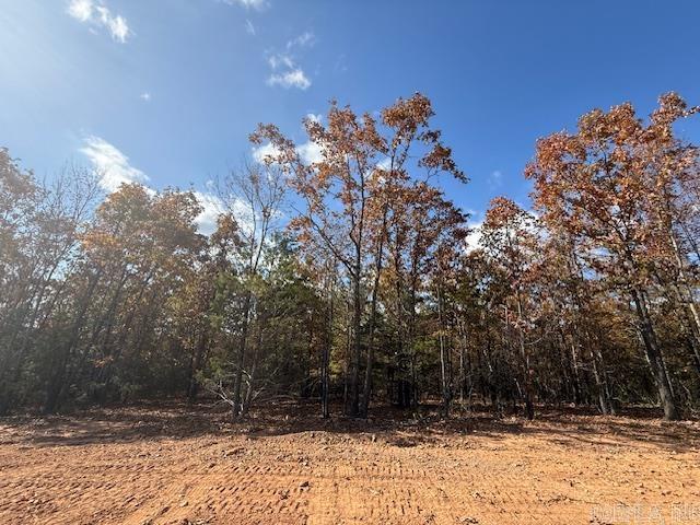 16 Summer Tyme Drive  Greenbrier, AR