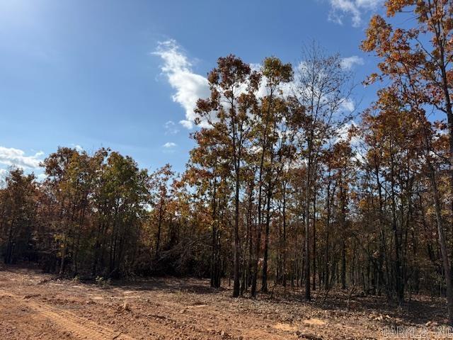 18 Summer Tyme Drive  Greenbrier, AR