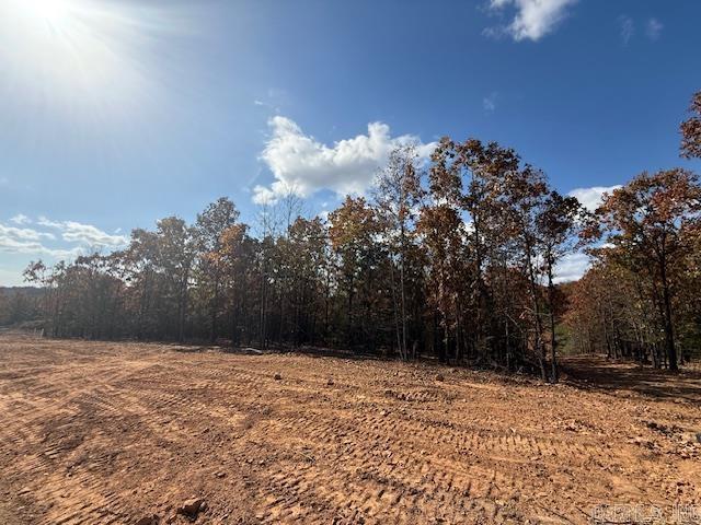 20 Summer Tyme Drive  Greenbrier, AR