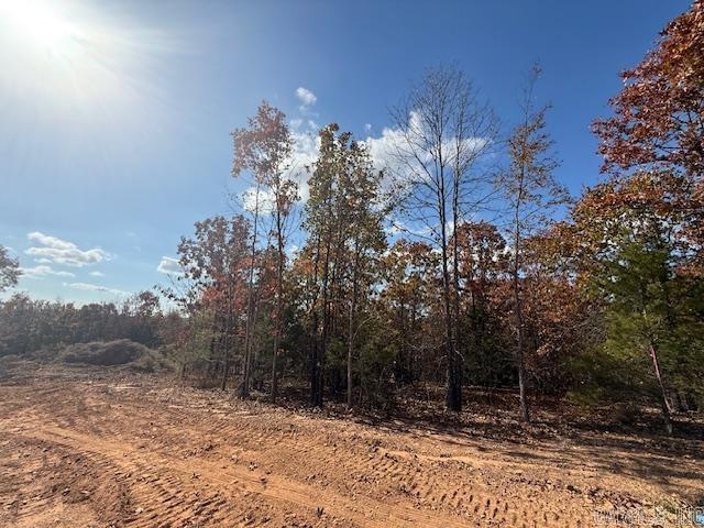 22 Summer Tyme Drive  Greenbrier, AR